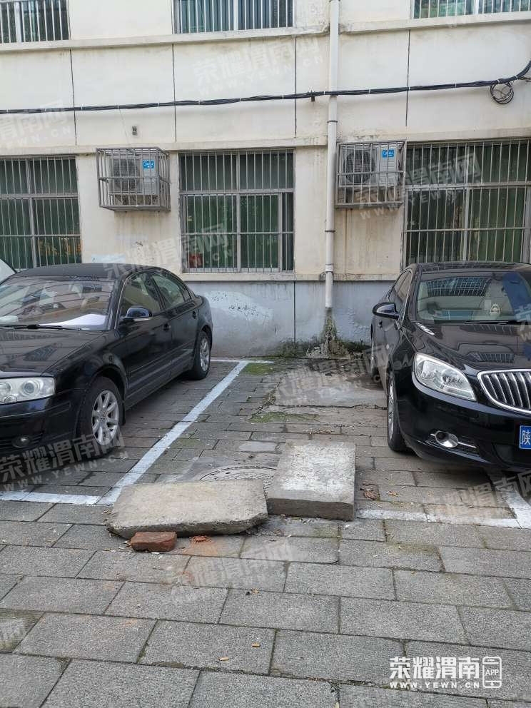 87.jpg
