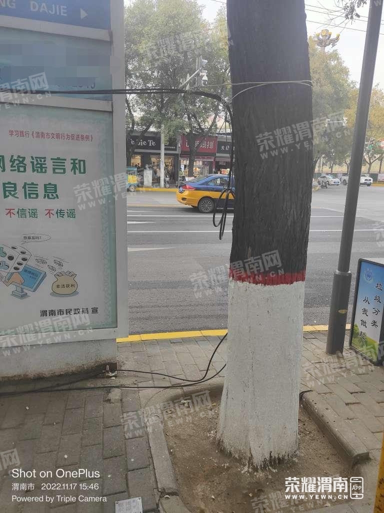 97.jpg