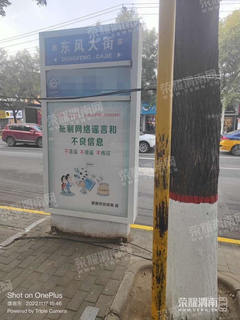 96.jpg