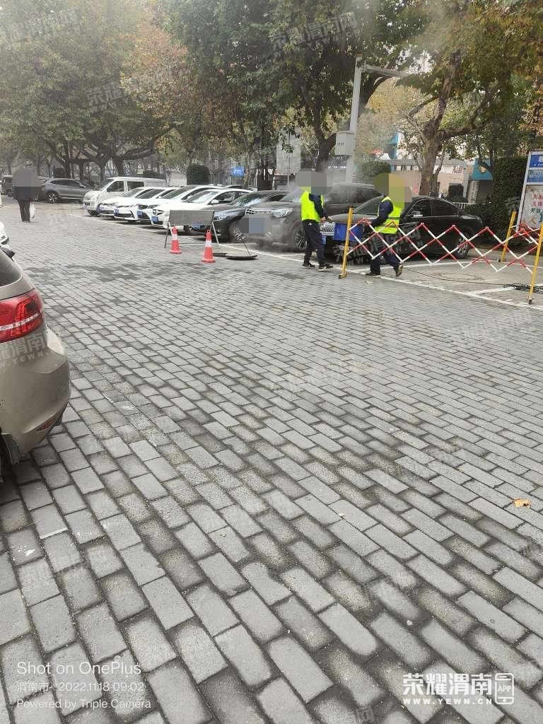 117.jpg