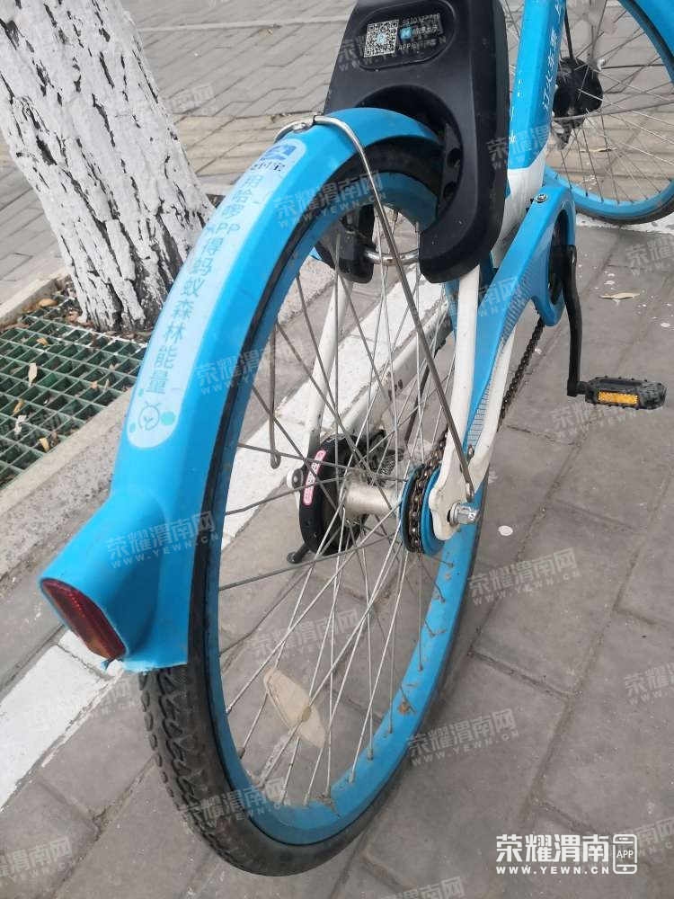 128.jpg
