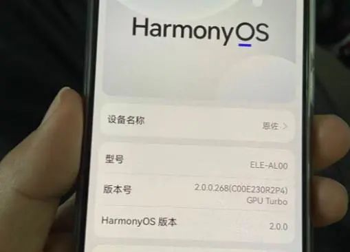 174425hqfp1mz4h6huqu5e.jpeg