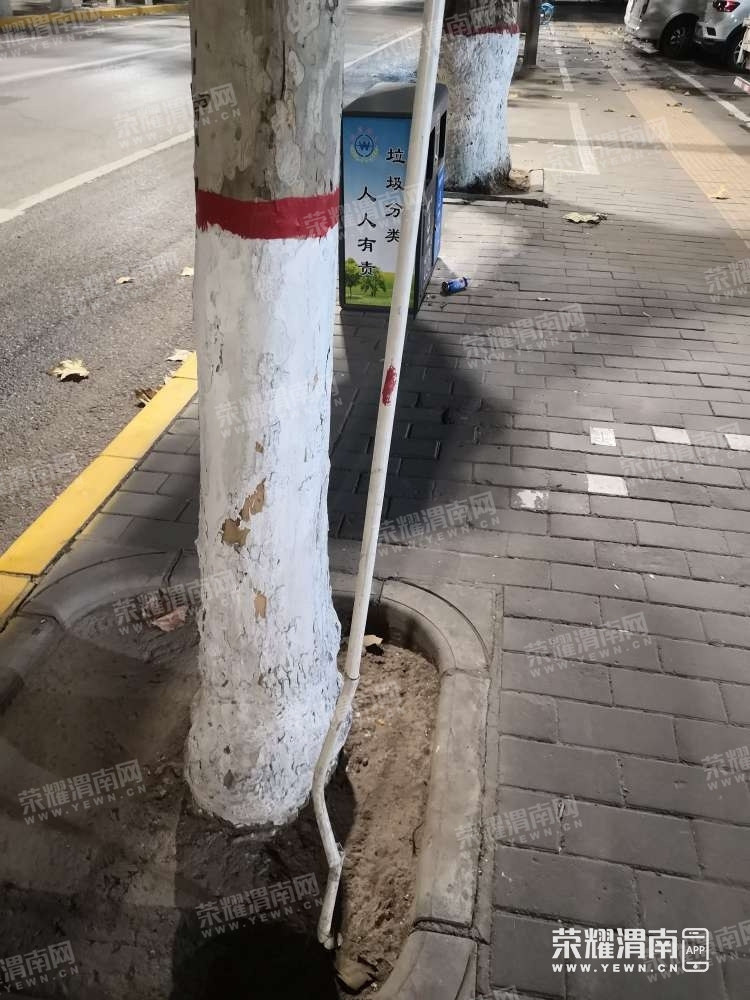 105.jpg