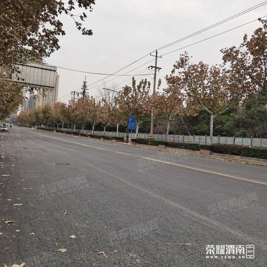 102158vm1s20osep2q5qj6.jpg