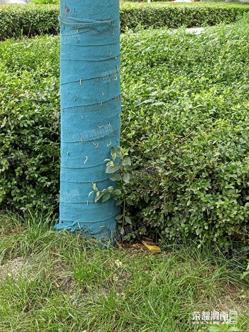 77.jpg
