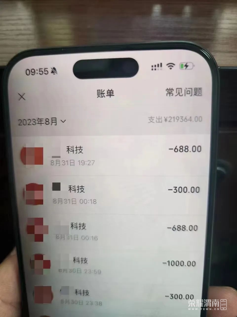 113738y5yqf5gzdzfkd4u5.jpeg