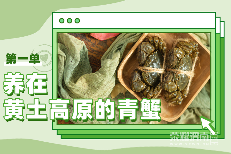 174345nhju4kghkyjyzz5c.png