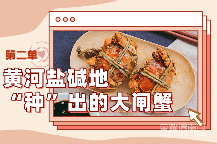 174345nmpjl4s71ia0jgwk.png