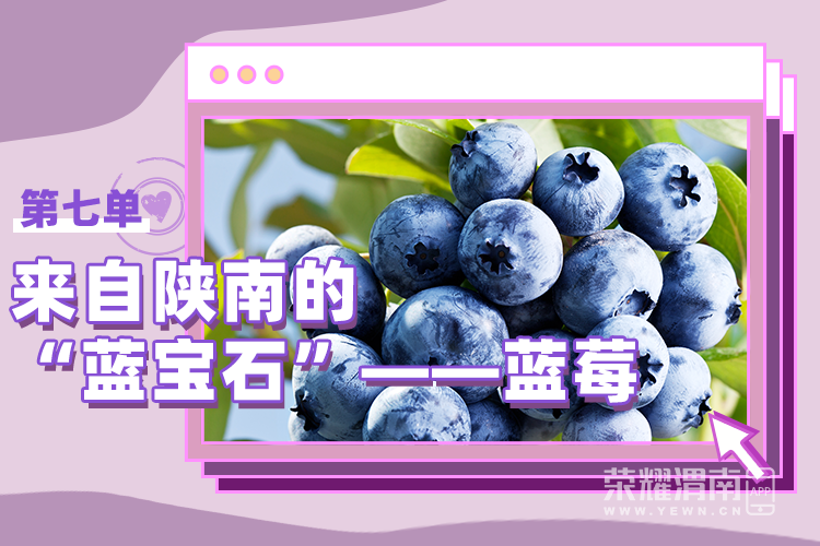 174351mhbx2cxthmjqzozc.png