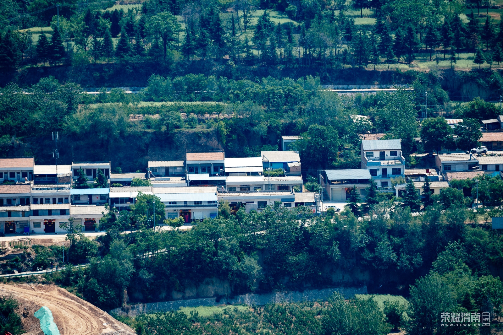 _ZFA6223.jpg