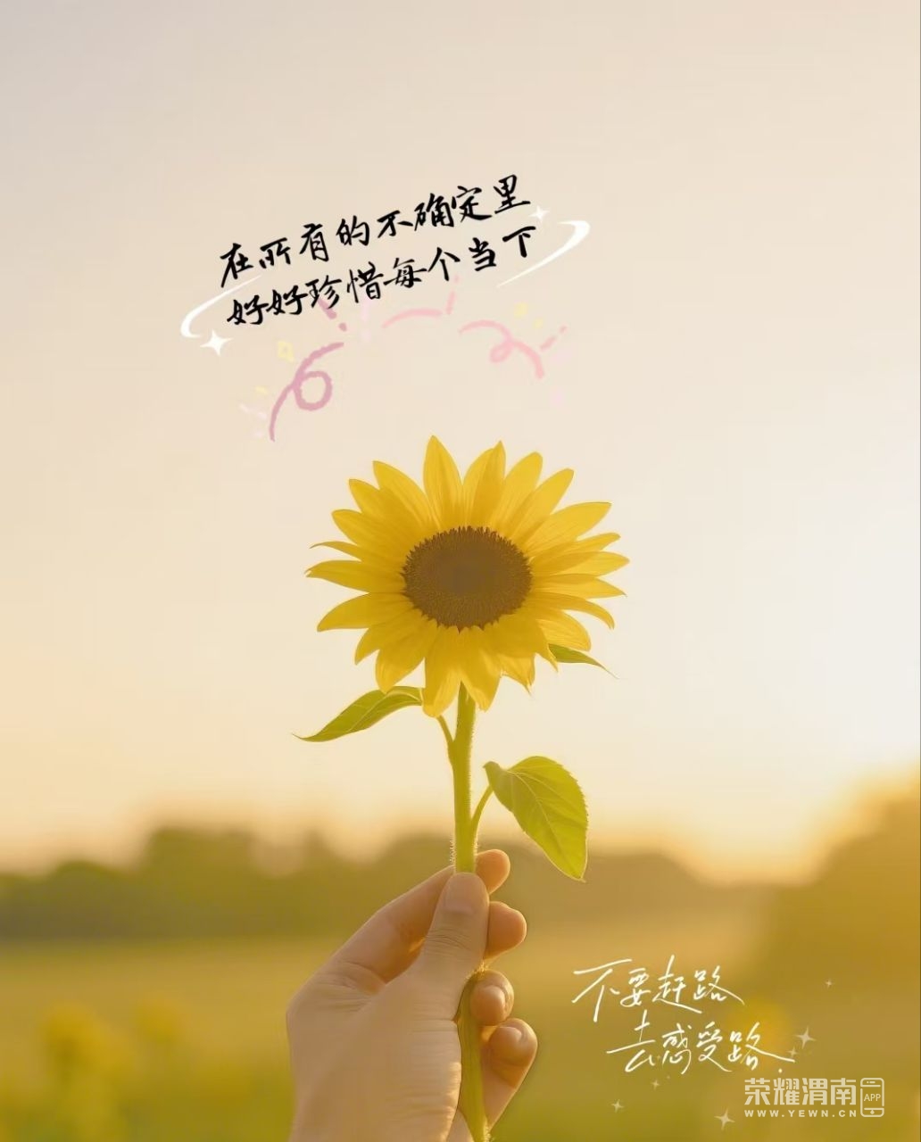 20250523212937front2_0_275988_FkbtC5miZZEkf_688MBLXf-Xq3gV.jpg