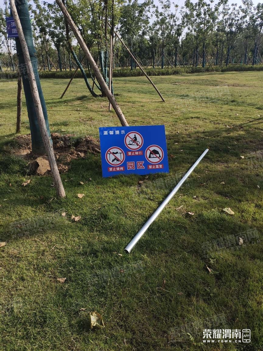 080050cjgsrzbqggskbk9j.jpg