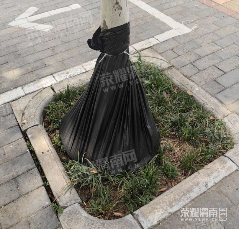 ΢�Ž�ͼ_20250619140529.png
