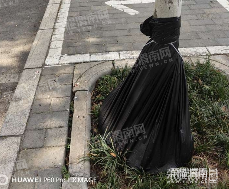 ΢�Ž�ͼ_20250619140524.png