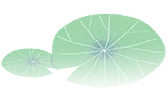 111054iww7cln2l9lrxnci.png