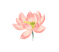 112527czb3zuur6t0ie8e6.gif