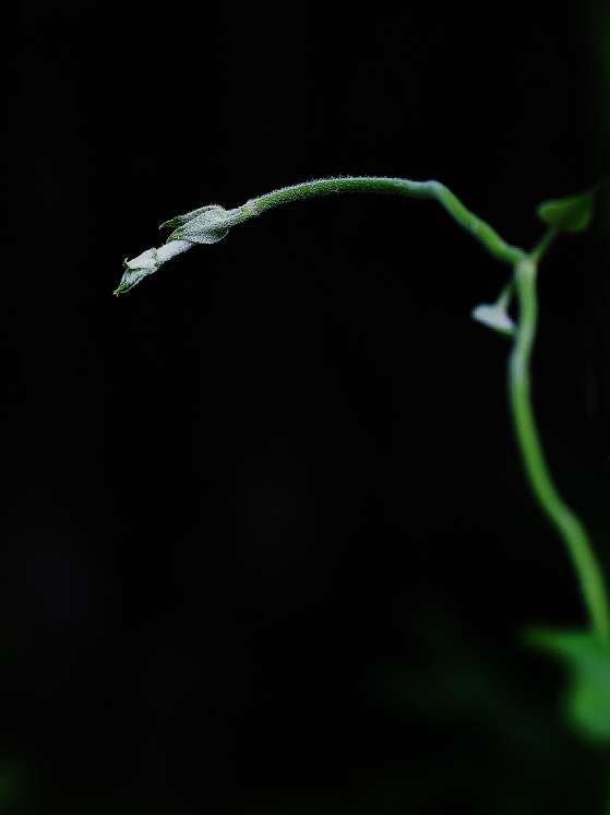 20250710212812front2_0_161040_FghoSb71L-fCYe_FyBt5Uylkadqx.jpg