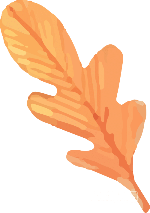 165356d3qz7btd8s8c77t8.png