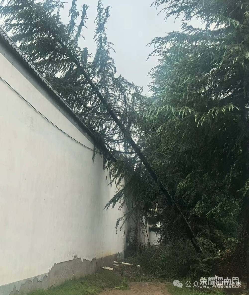 20251017083848front2_0_113338_FoCSQs3moPjCf5-2m_qMT_pcMmqh.jpg