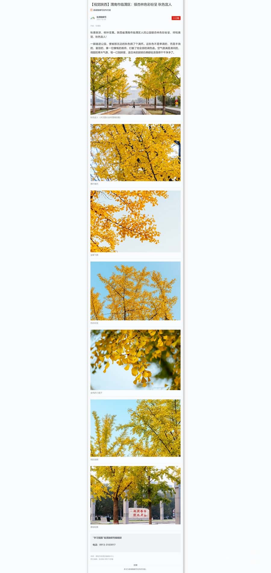 ���Ӿ�������μ������μ����������ɫ�ʷ׳� ��ɫ����.jpg