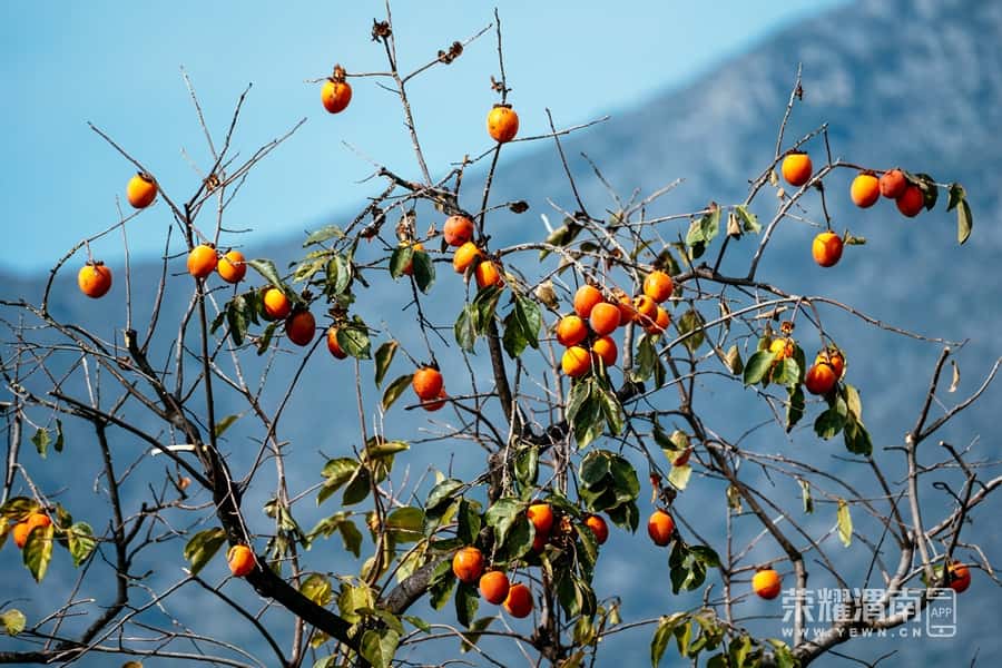 ͶٶȰٿ ʡƽزܴ´ μӰ3.jpg