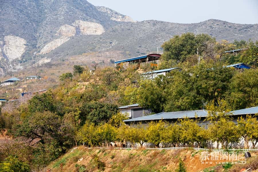 ͶٶȰٿ ʡƽزܴ´ μӰ1.jpg