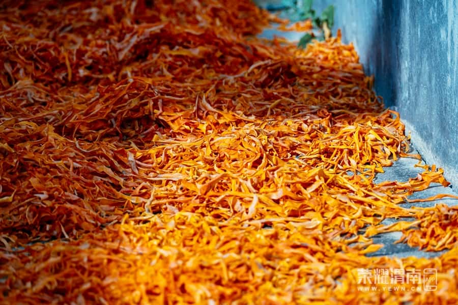 ͶٶȰٿ ʡƽزܴ´ μӰ5.jpg