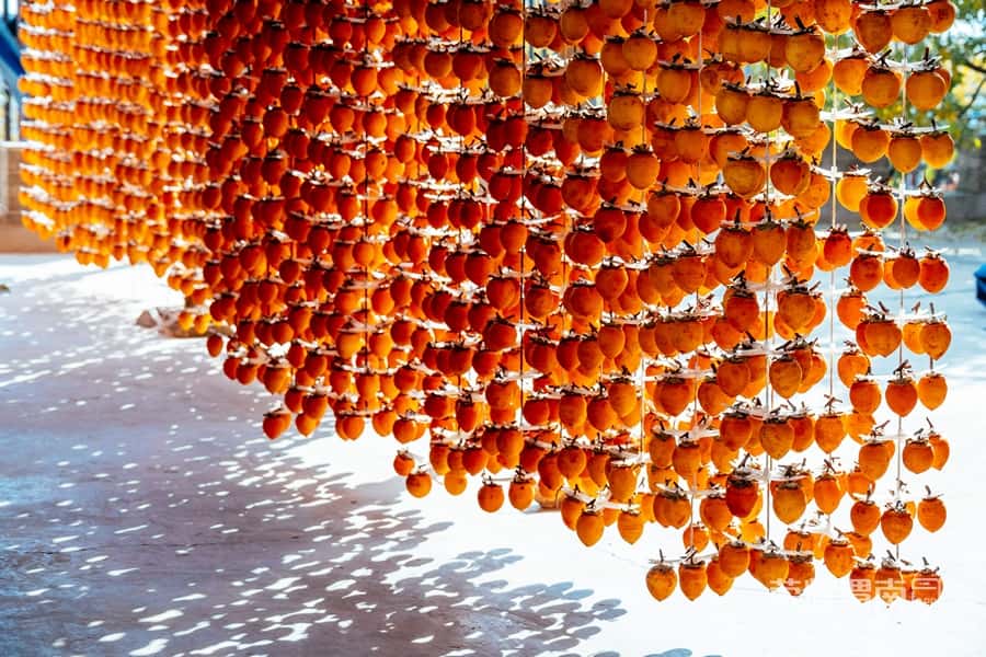 ͶٶȰٿ ʡƽزܴ´ μӰ12.jpg