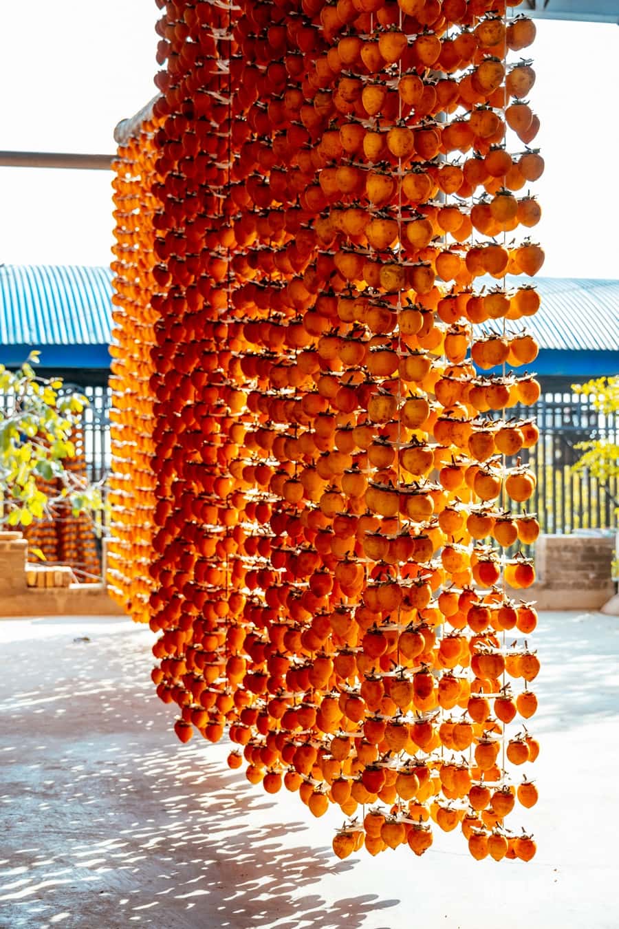 ͶٶȰٿ ʡƽزܴ´ μӰ22.jpg