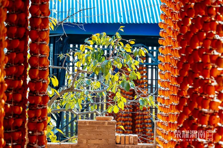 ͶٶȰٿ ʡƽزܴ´ μӰ27.jpg