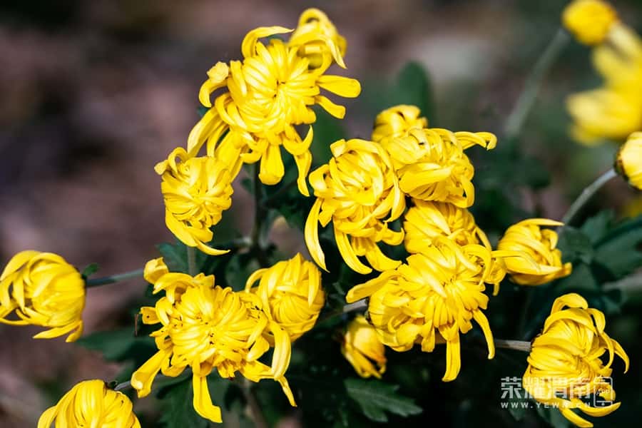 ͶٶȰٿ ʡƽزܴ´ μӰ35.jpg