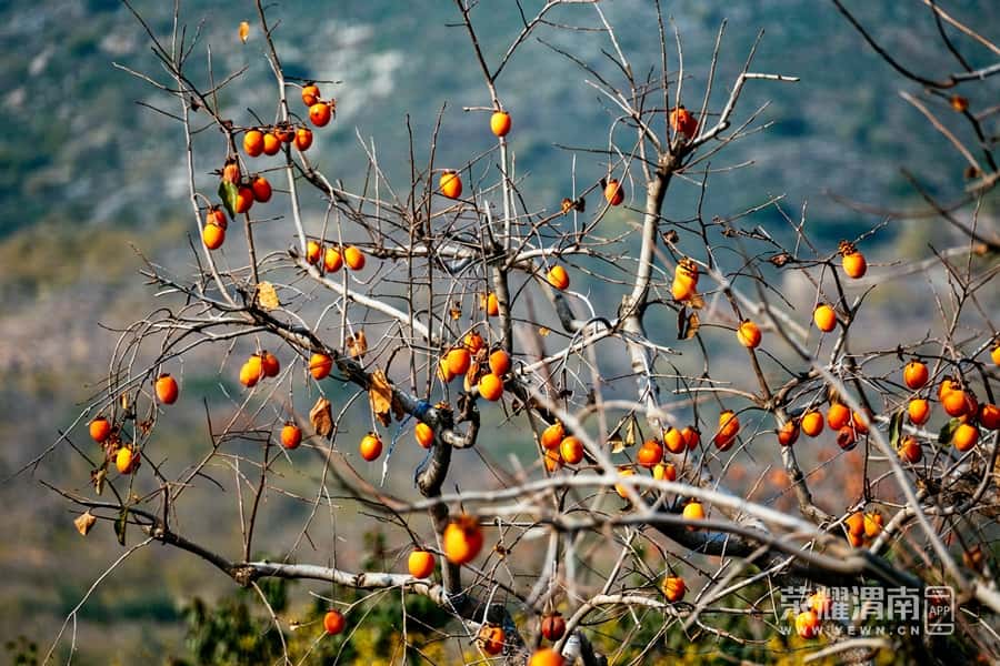 ͶٶȰٿ ʡƽزܴ´ μӰ49.jpg