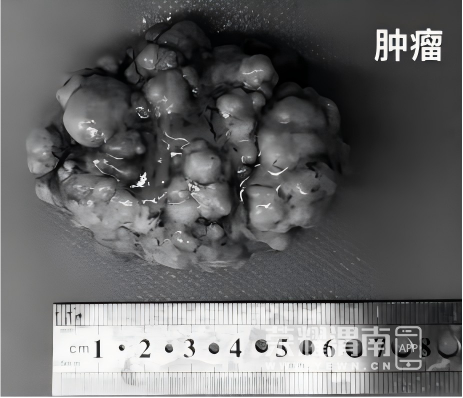 160928u8844ev8x4p4j4pb.png
