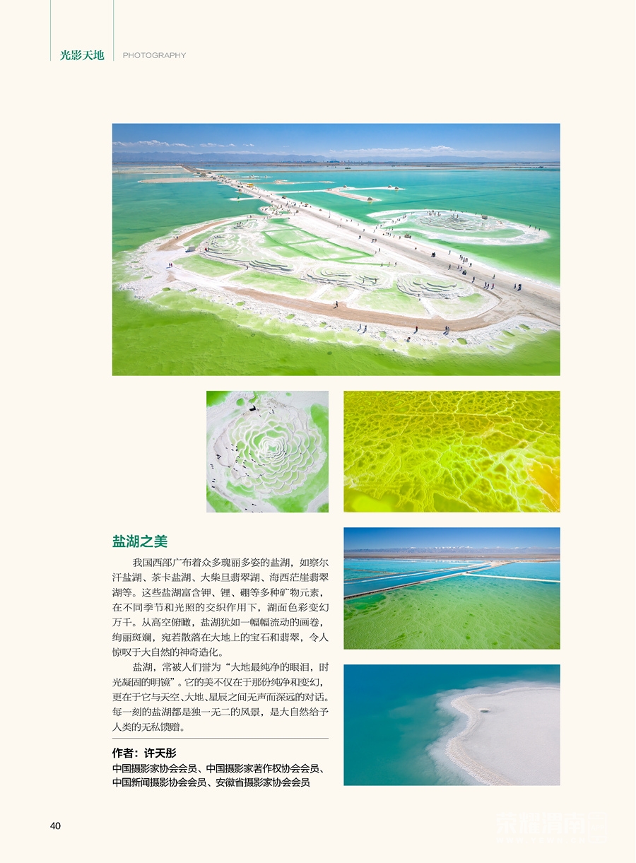 ��Ӱ Ŀ¼�����й��ʲ�������2025���6��_ҳ��_4.jpg