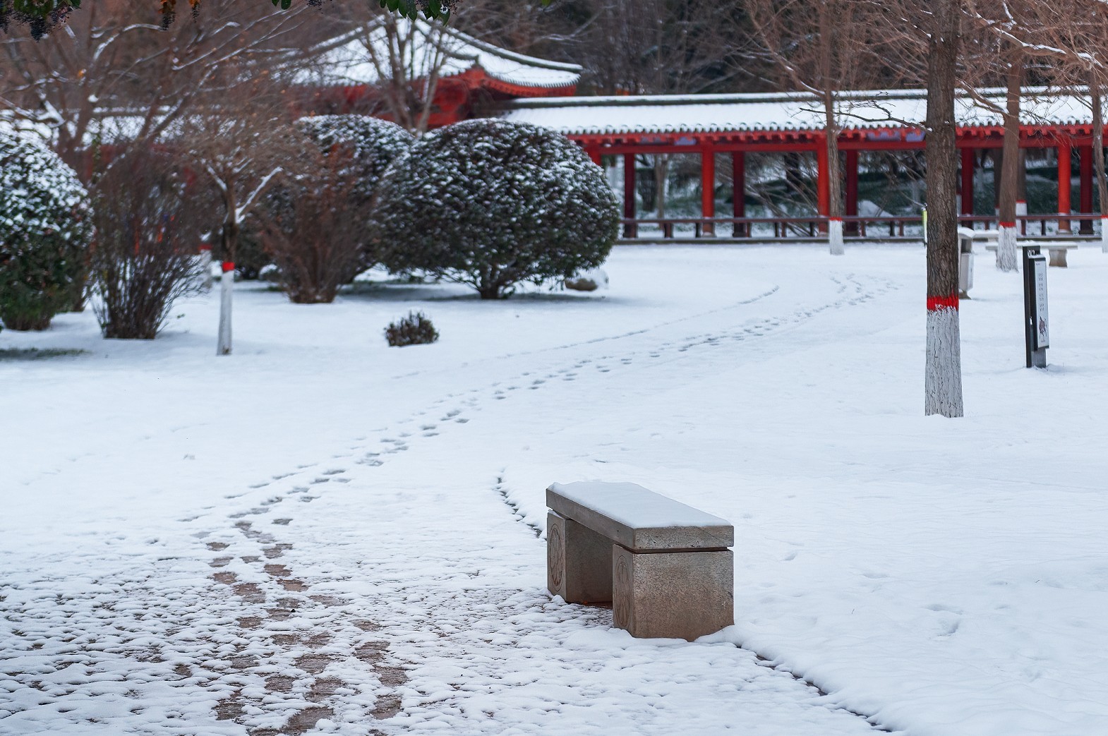20260120143907front2_0_233519_FqpV1PJ8ILlEyy6tnj6KqgsXI8Hd.jpg
