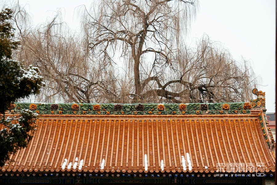 Ͷ��ٶȰٿ� �������� ��μ����Ӱ (1).jpg