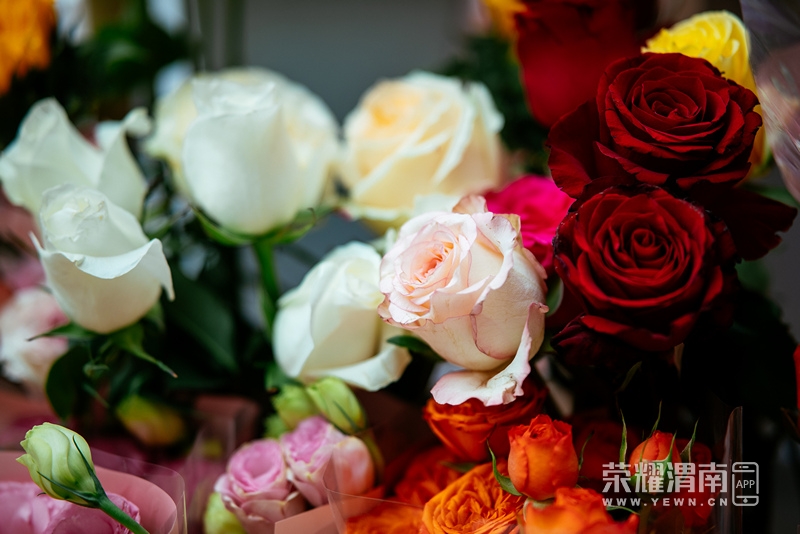 ���㳡�ܾ����ŵ� (67).jpg