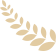 142855z5fov3loxxrepxt3.png