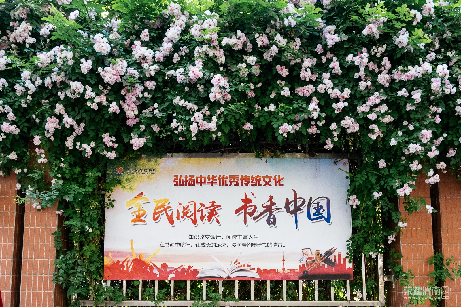 _ZFD7451.jpg