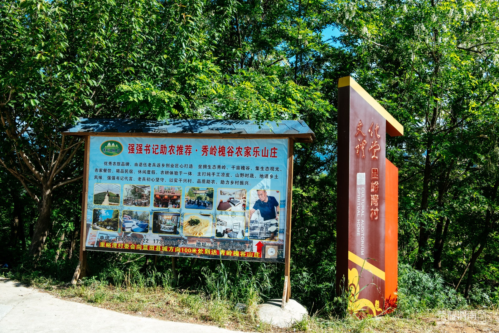 _ZFD7914.jpg