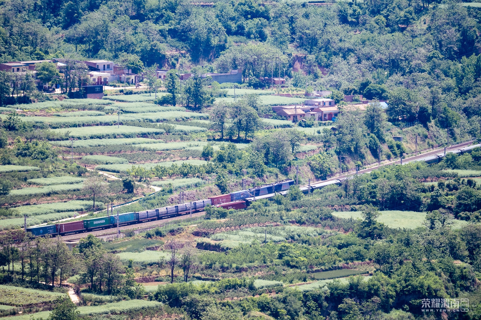 _ZFD8303.jpg