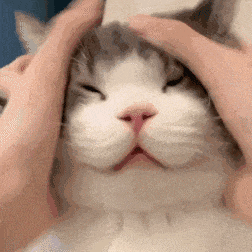 173900p7m7ijz770yvmt7m.gif