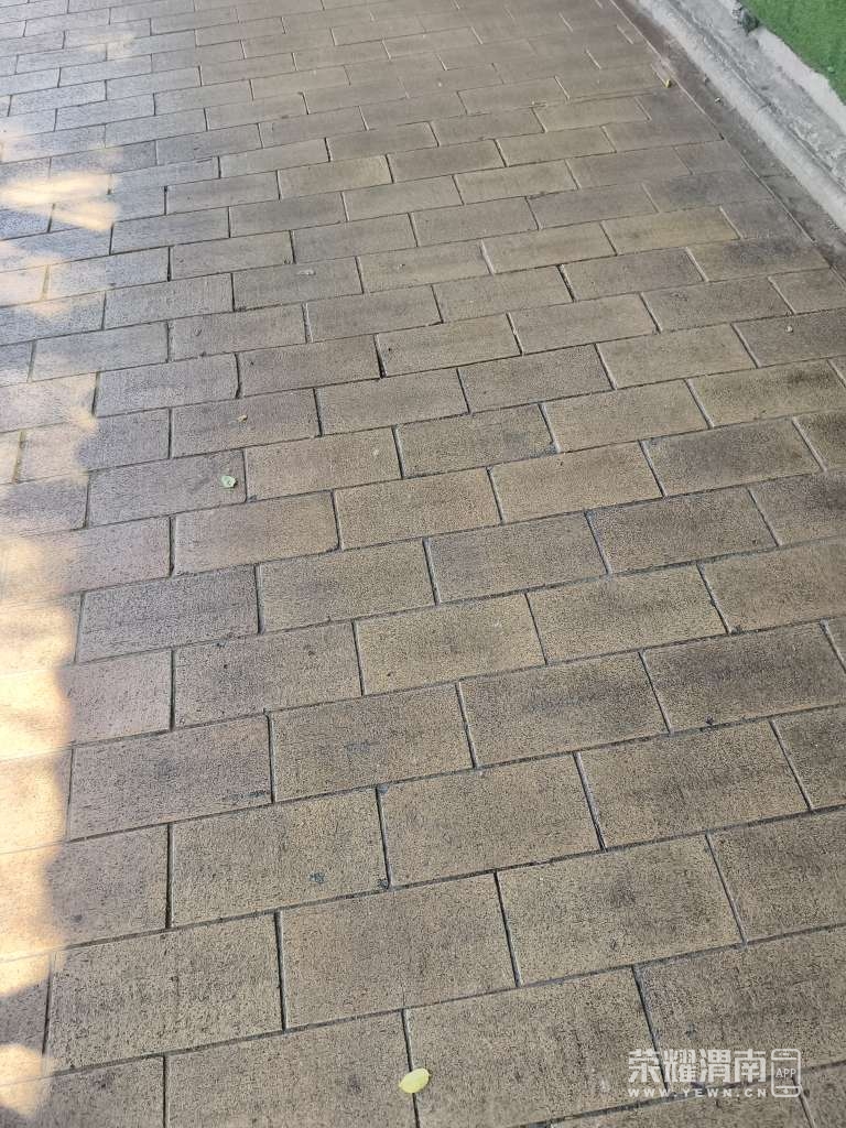 20260511093752front2_0_205106_FhNT1sXbaDg5FFNtQIMFkbWeNM69.jpg