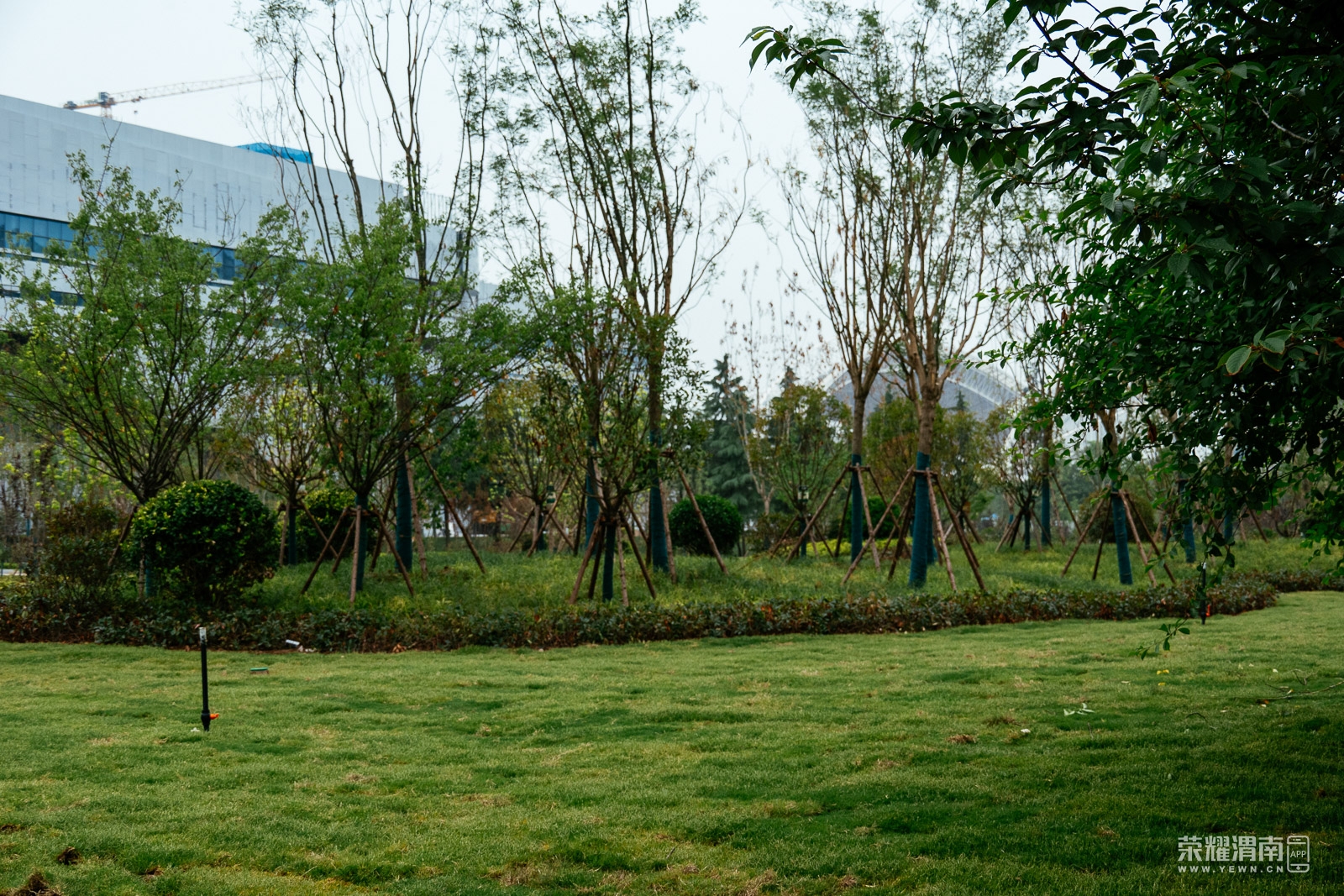 _ZFE0217.jpg
