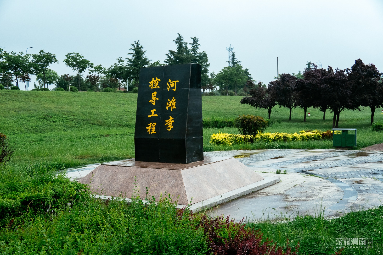 _ZFE0279.jpg