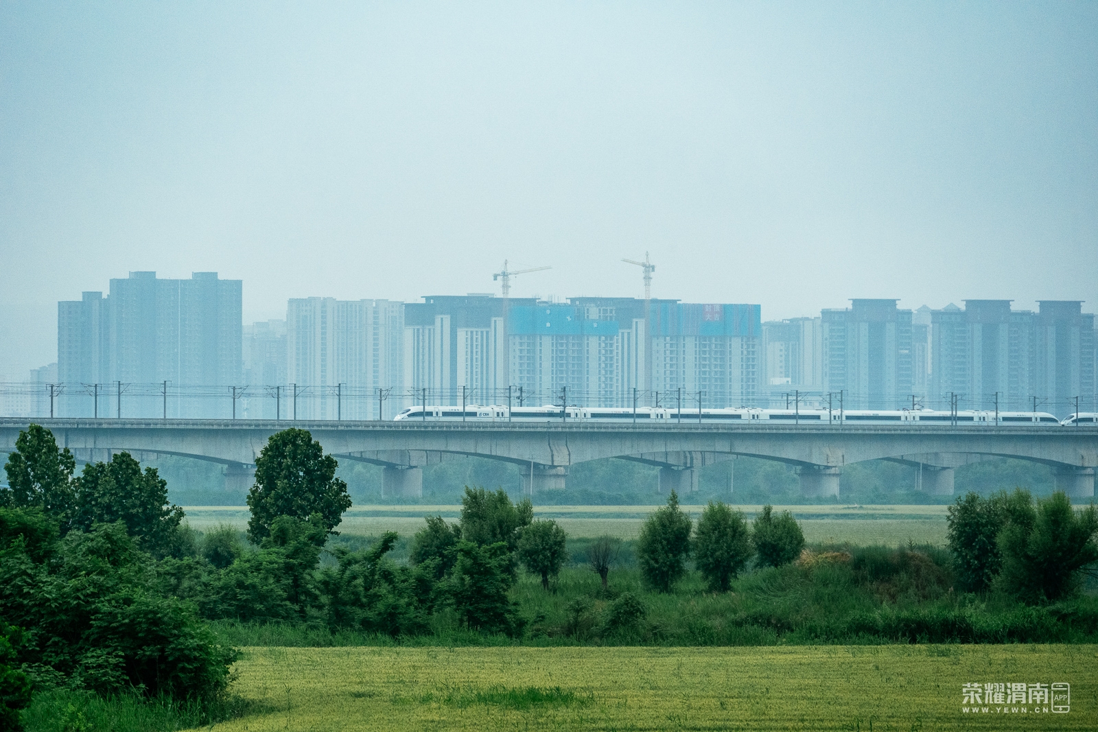 _ZFE0312.jpg