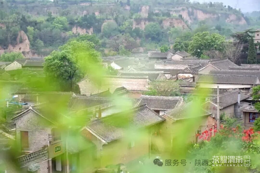 210830g1g5golz2zmqlj66.jpg