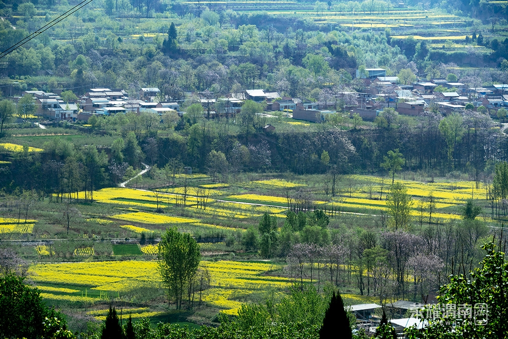 _ZFA3396.jpg