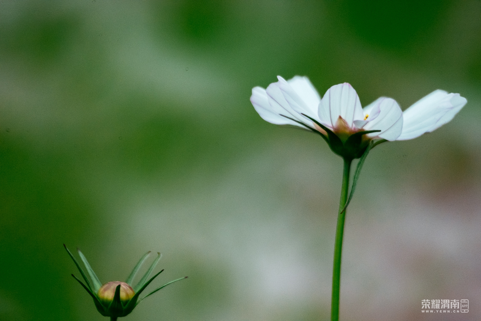 _Z5C9401.jpg