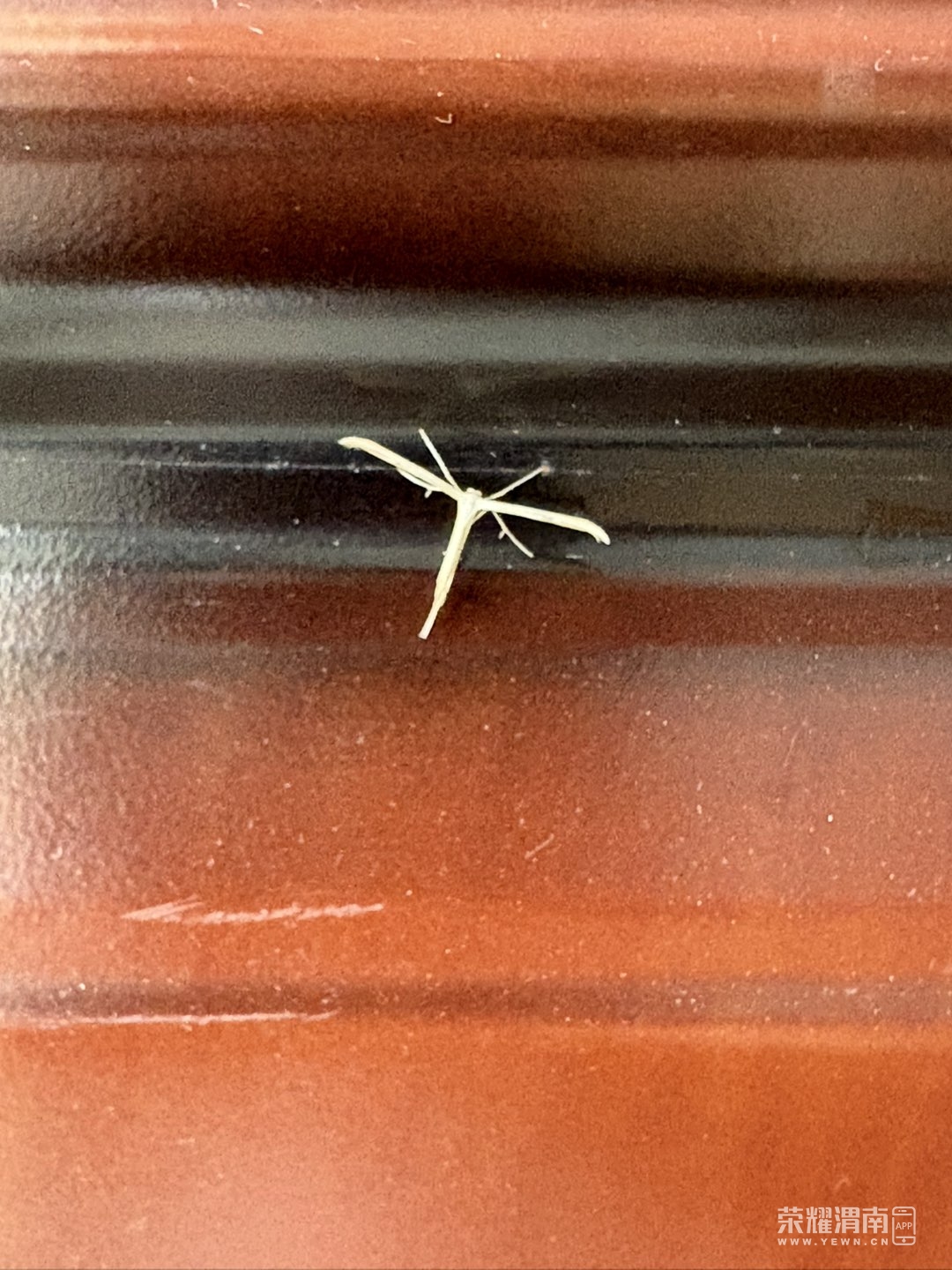 20260604092908front1_0_310523_FpYV8I1jdkoTTw3F7JyorjrI7xBw.jpg